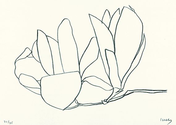 Ellsworth Kelly - Magnolia