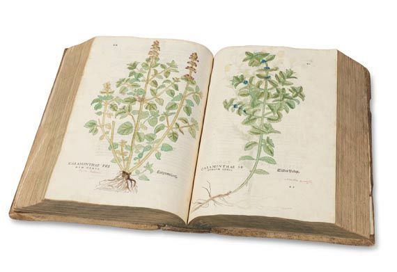 Leonhart Fuchs - De Historia stirpium. 1542.