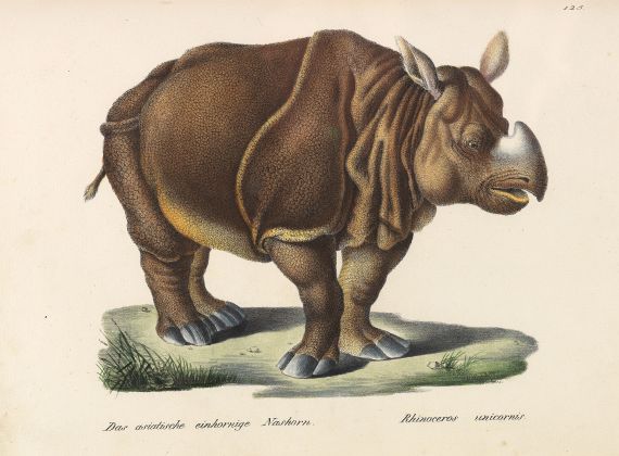 Heinrich Rudolf Schinz - Naturgeschichte u. Abb. der Säugetiere, 2 Bde. 1824.