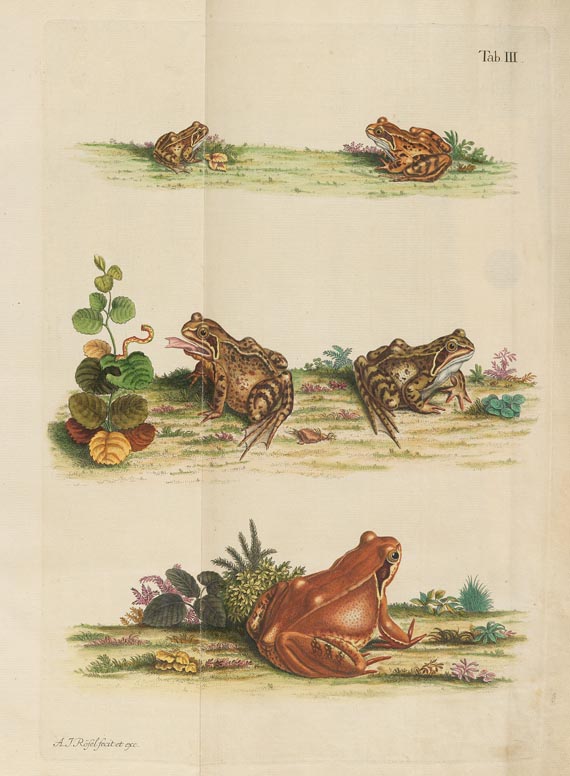 A. J. Rösel von Rosenhof - Historia Ranarum, 1758 - 