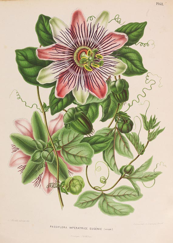 Henrik Witte - Flora (1868)