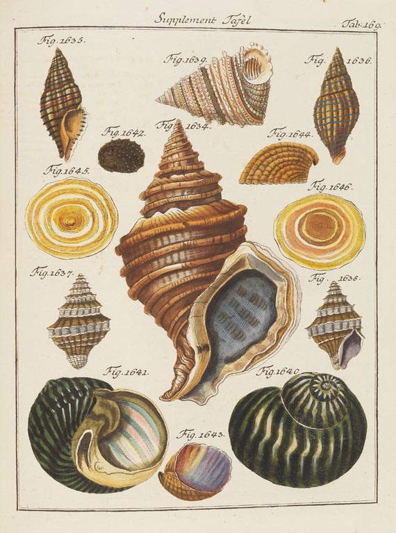 Friedrich Heinrich Wilhelm Martini - Conchylien-Cabinet. 1769-1829. 12 Bde.