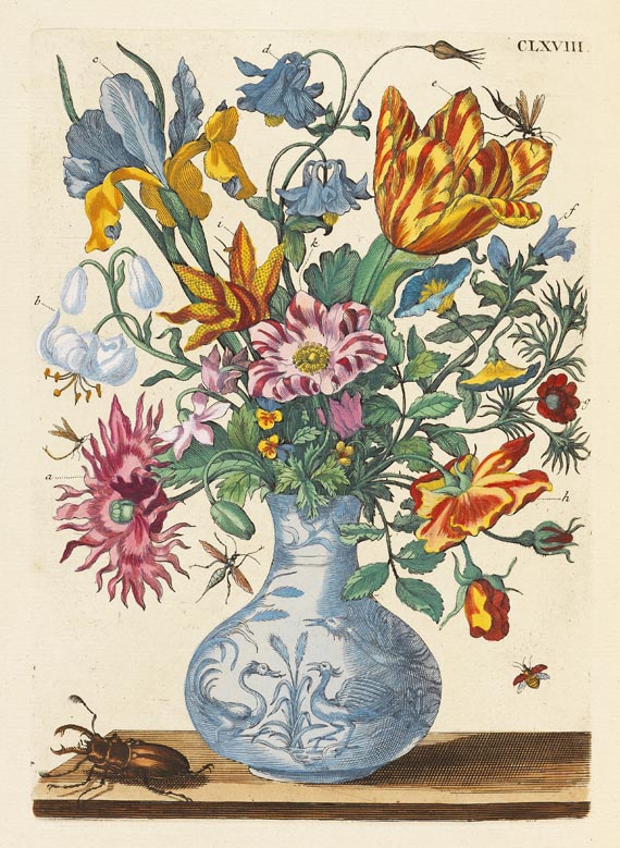 Maria Sibylla Merian - De europische Insecten. 1730