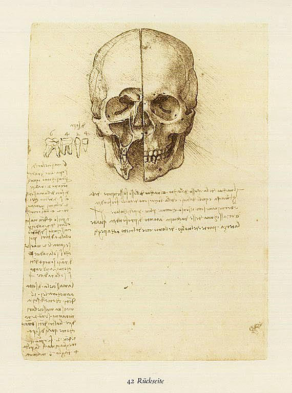  Leonardo da Vinci - Anatomische Studien. 3 Bde. 1980