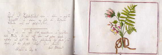 Album amicorum - Stammbuch, Lemgo. 1782.