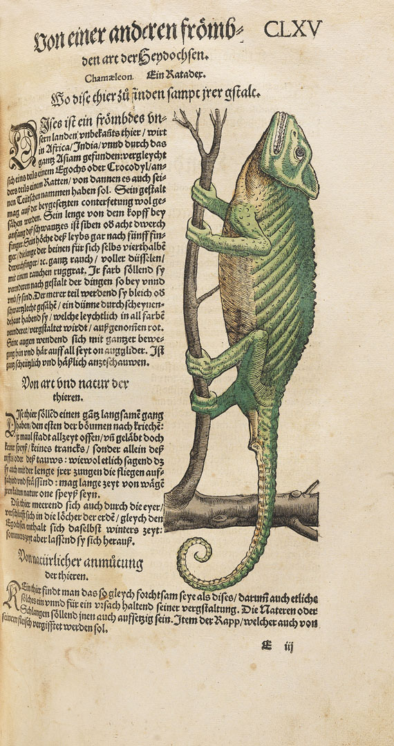 Conrad Gesner - Thierbuch. 3 Teile in 1 Bd. 1563.