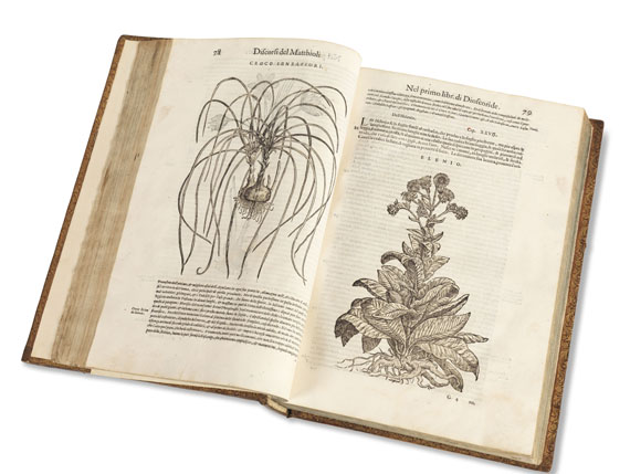 Pietro Andrea Mattioli - Dei discorsi. 1585. 2 Bde. - 
