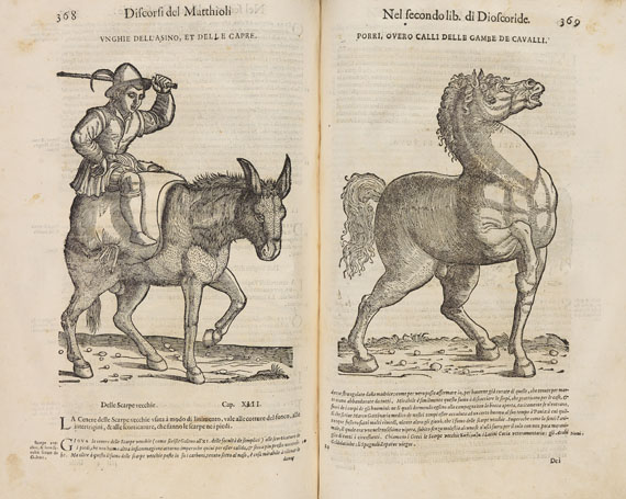 Pietro Andrea Mattioli - Dei discorsi. 1585. 2 Bde.