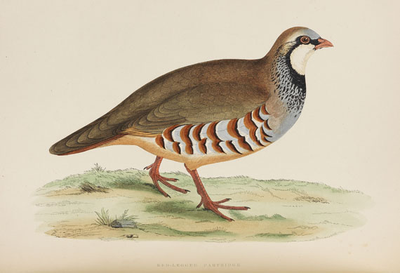 B. R. Morris - British game birds and wildfowl. EA 1855.