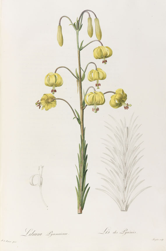 Pierre Joseph Redouté - Liliacées. 8 Bde. 1802-16.