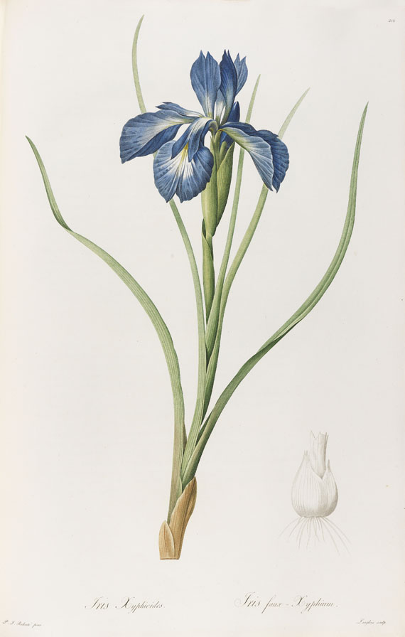 Pierre Joseph Redouté - Liliacées. 8 Bde. 1802-16. - 