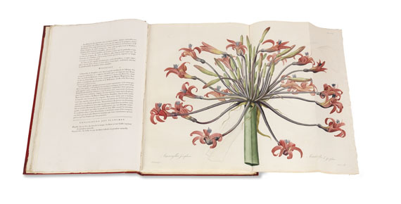 Pierre Joseph Redouté - Liliacées. 8 Bde. 1802-16. - 