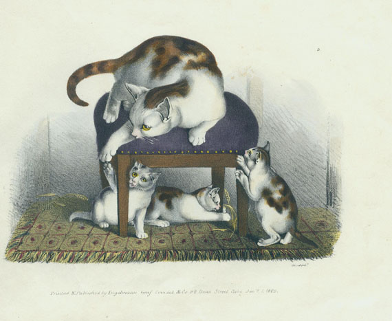 Gottfried Mind - Katzen-Album. Um 1828