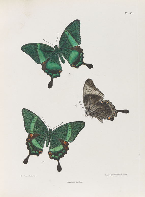 Frederic Moore - Lepidoptera Indica. 1890-1913. 10 Bde.. - 