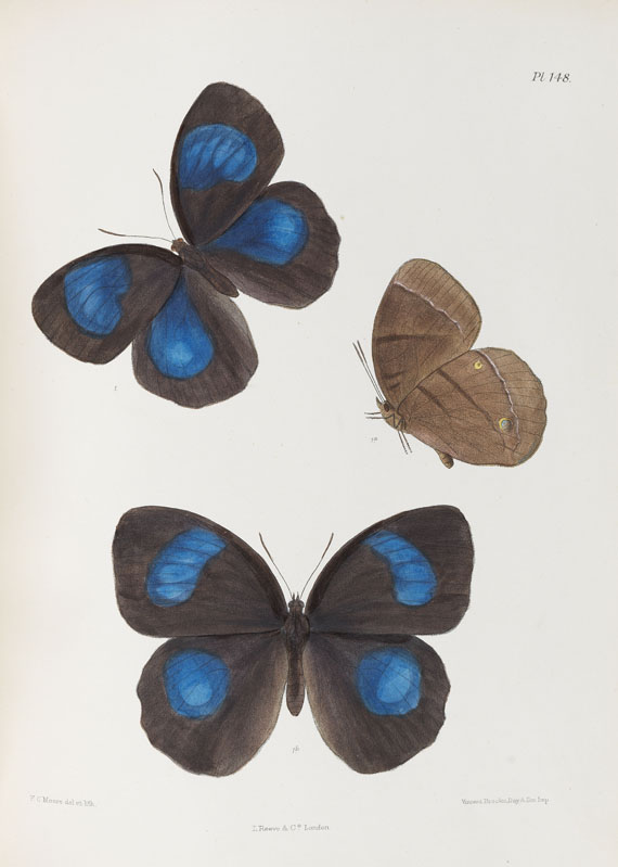 Frederic Moore - Lepidoptera Indica. 1890-1913. 10 Bde.. - 