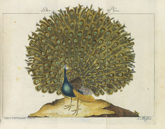Georges Louis Leclerc de Buffon - Werke. 18 Bde. 1772.