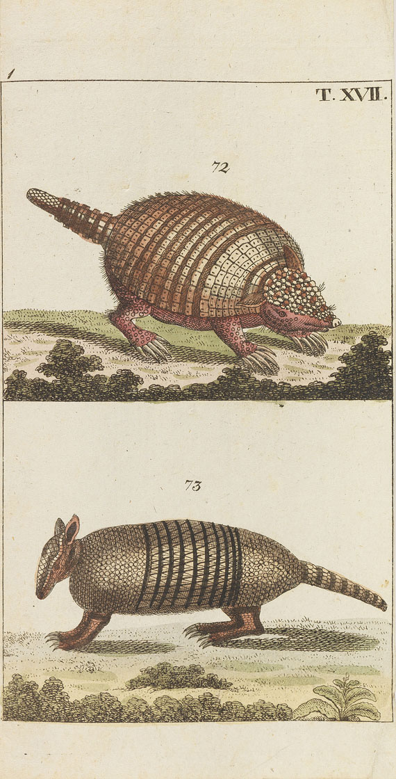 Gottlieb Tobias Wilhelm - Unterhaltungen aus der Naturgeschichte. 26 Bde. (von 27). Wien 1808-28.