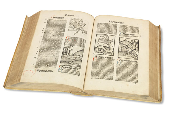 Hortus sanitatis - Hortus sanitatis. 1497.