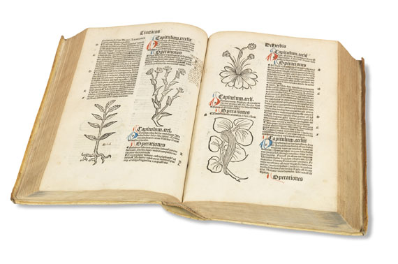 Hortus sanitatis - Hortus sanitatis. 1497.