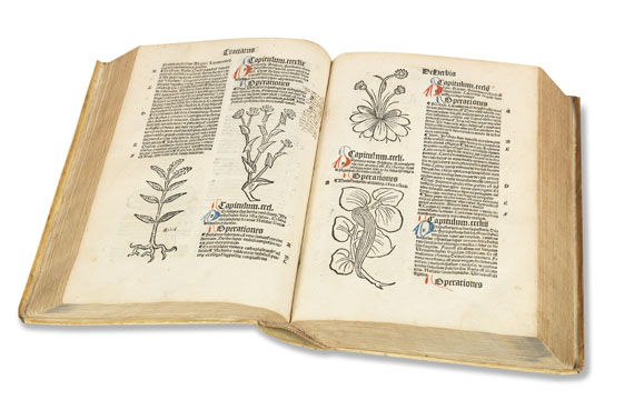   - Hortus sanitatis. 1497. - 