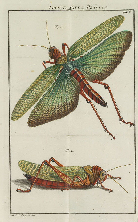 August J. Rösel von Rosenhof - Insecten-Belustigung. 4 Bde. 1759-92 - 