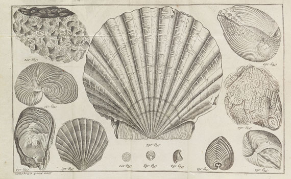 Carl von Linné - Natursystem des Mineralreichs. 1777. 4 Bde.