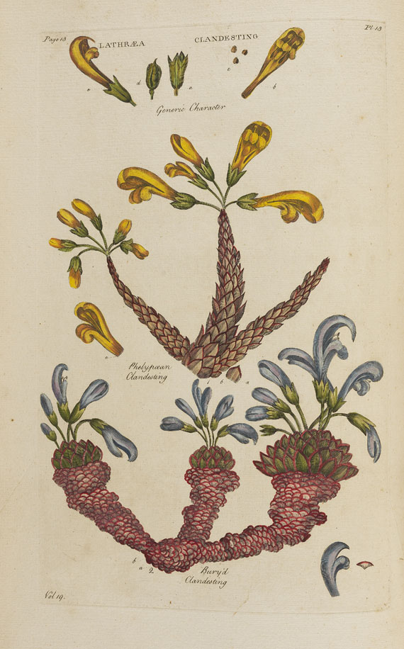John Hill - Vegetable System. 13 Bde. 1775.