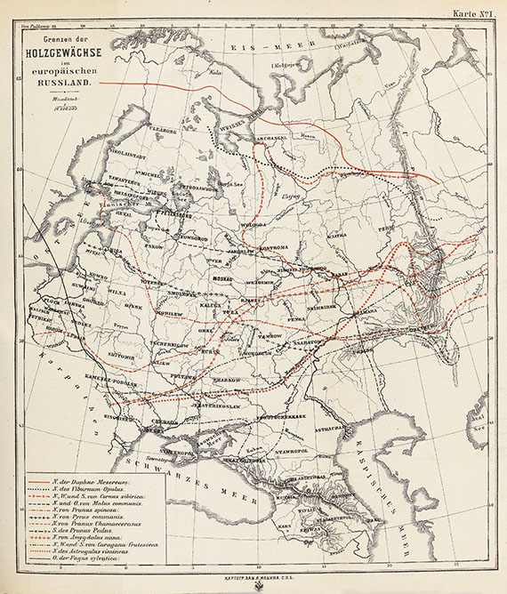 Friedrich Theodor Köppen - Geographische Verbreitung der Holzgewächse. 2 Bde.