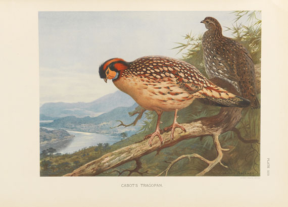 William Beebe - A monograph of the pheasants. 4 Bde. - 