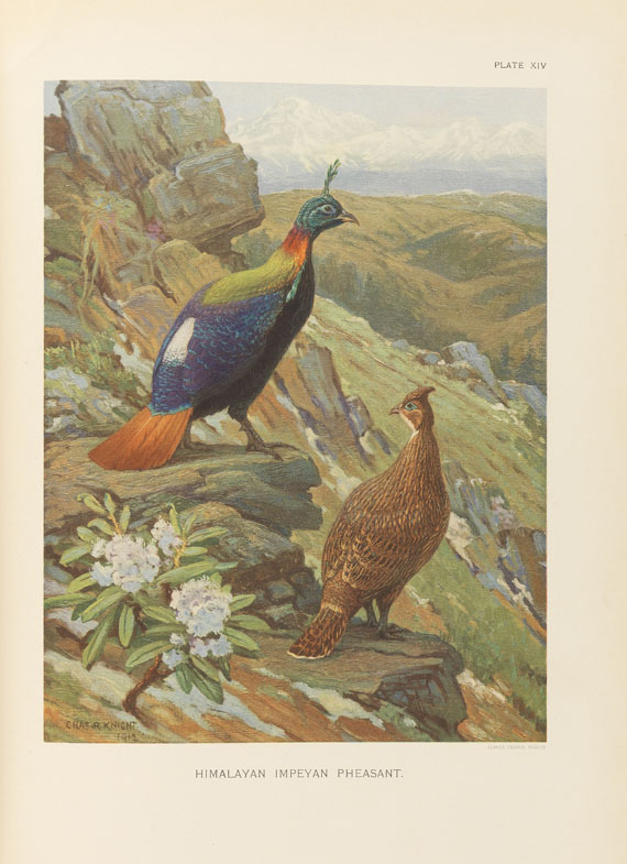 William Beebe - A monograph of the pheasants. 4 Bde. - 