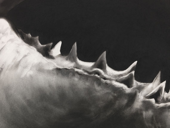 Robert Longo - Untitled (Shark 15) - 