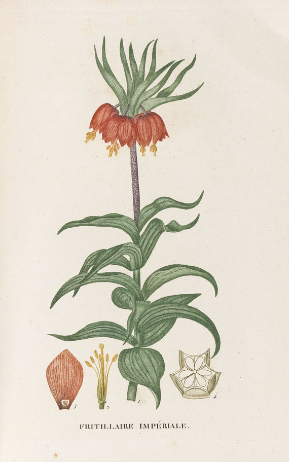 Jean H. Jaume Saint-Hilaire - Plantes de la France. 9 Bände