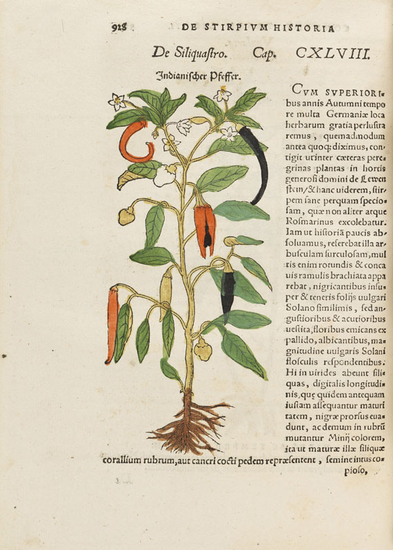 Hieronymus Bock - De stirpium - 