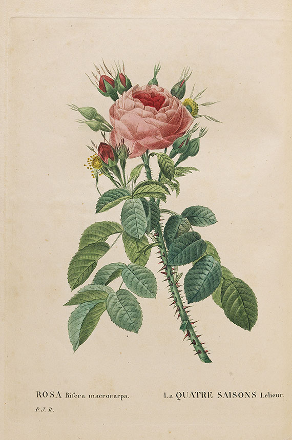 Pierre Joseph Redouté - Les roses. 3 in 2 Bänden