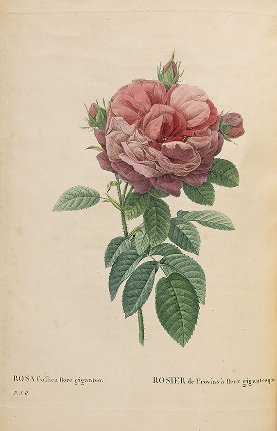 Pierre Joseph Redouté - Les roses. 3 in 2 Bänden