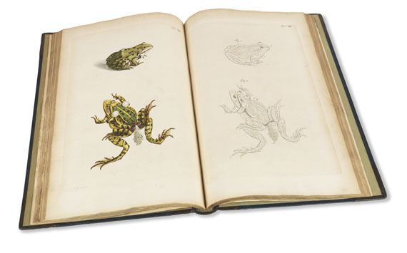 Augustin Johann Rösel von Rosenhof - Historia naturalis ranarum nostratium