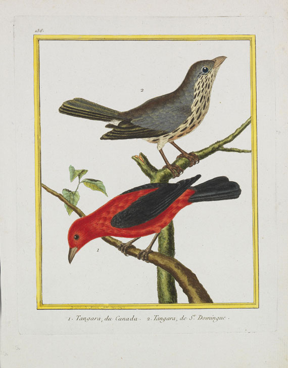 Georges Louis Leclerc Buffon - Histoire naturelle des oiseaux. 3 Kassetten - 