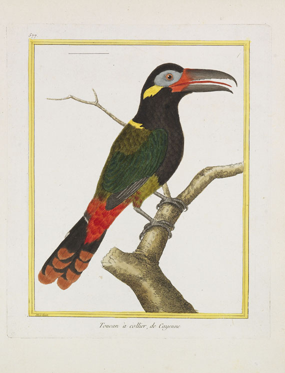 Georges Louis Leclerc Buffon - Histoire naturelle des oiseaux. 3 Kassetten