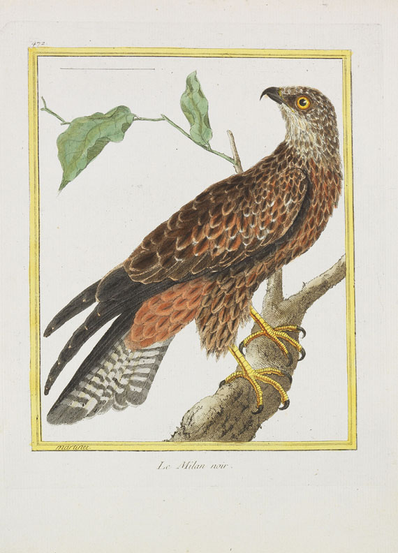 Georges Louis Leclerc Buffon - Histoire naturelle des oiseaux. 3 Kassetten