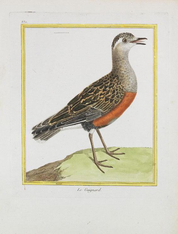 Georges Louis Leclerc Buffon - Histoire naturelle des oiseaux. 3 Kassetten - 