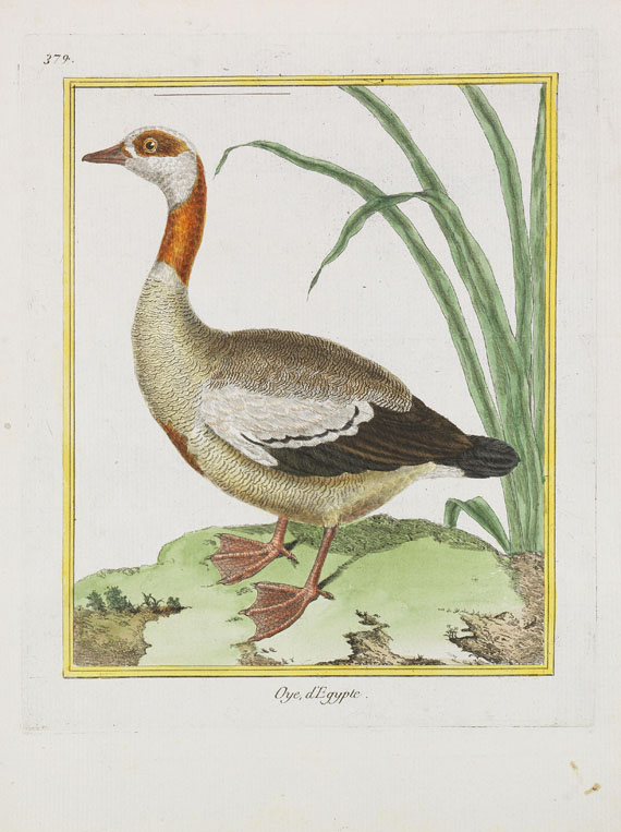 Georges Louis Leclerc Buffon - Histoire naturelle des oiseaux. 3 Kassetten