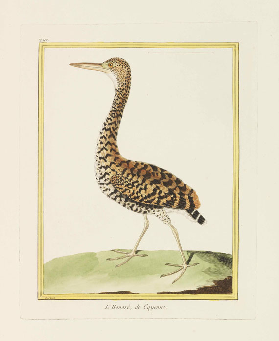 Georges Louis Leclerc Buffon - Histoire naturelle des oiseaux - 