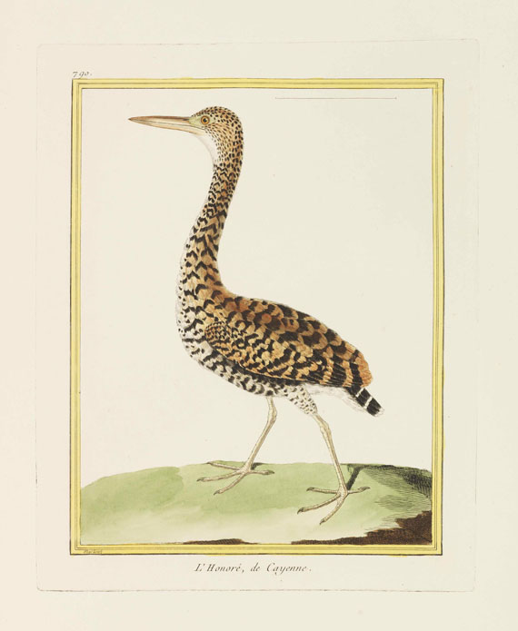 Georges Louis Leclerc Buffon - Histoire naturelle des oiseaux