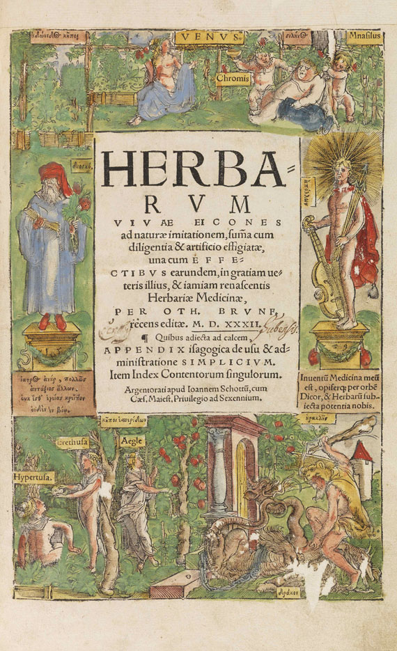 Otto Brunfels - Herbarum vivae eicones - 