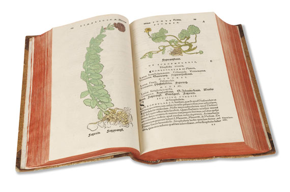 Otto Brunfels - Herbarum vivae eicones
