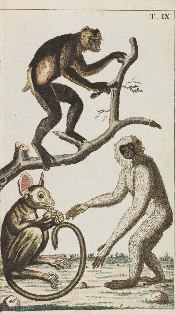 Gottlieb Tobias Wilhelm - Unterhaltungen aus der Naturgeschichte. 25 Bände - 