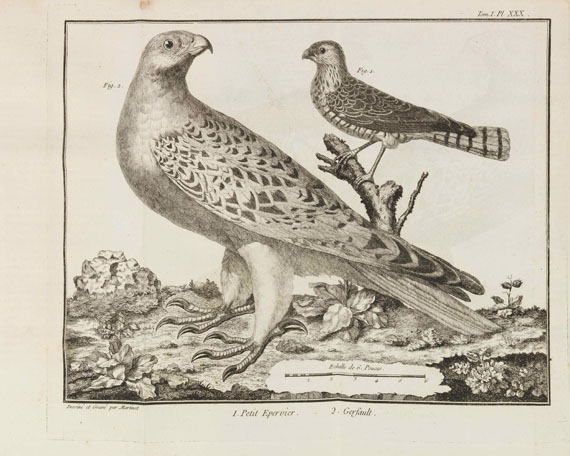 Mathurin Jacques Brisson - Ornithologie. 6 Bände