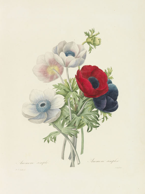 Pierre Joseph Redouté - Choix des plus belles fleurs et des beaux fruits. 135 plates plus 5 loosened