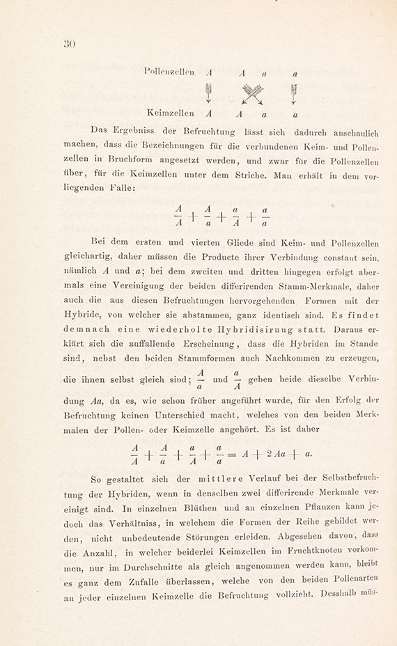 Gregor Mendel - Versuche über Pflanzen-Hybriden - 