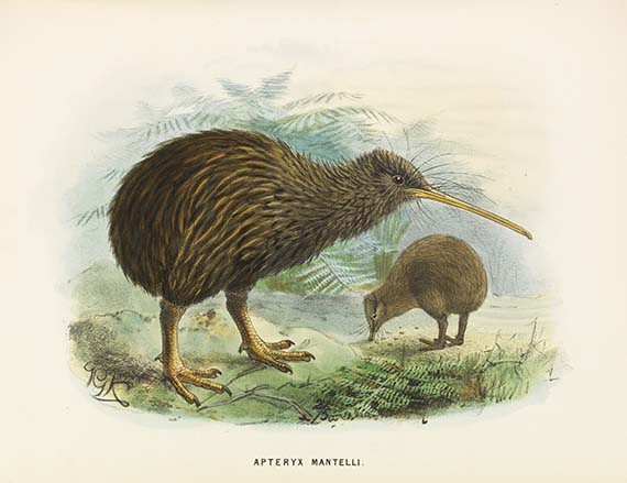 Walter Lawry Buller - A History of the Birds of New Zealand. Mit Begleitbrief an F. v. Hochstetter - 